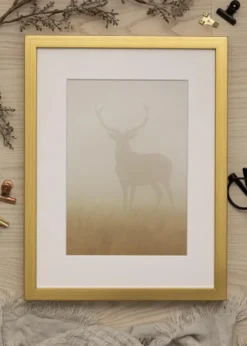 Ram Falun Guld 24x30 cm - Passepartout Vit 7x9 inches