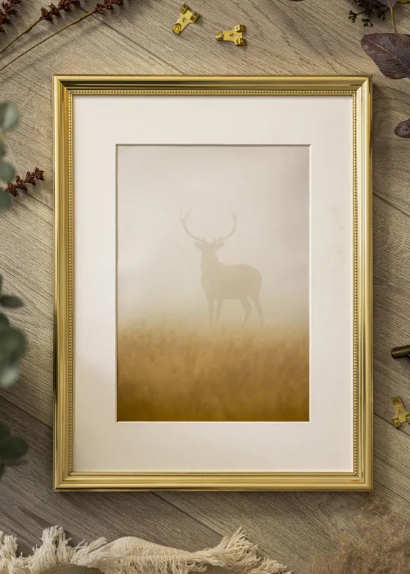 Ram Gala Guld 70x100 cm