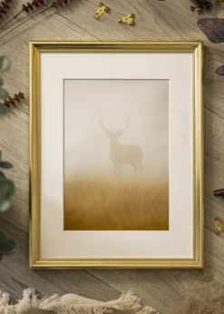 Ram Gala Guld 21x29,7 cm (A4)