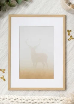 Ram Galant Glas Ek 42x59,4 cm (A2)