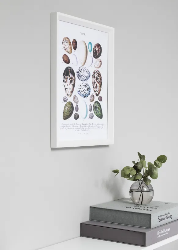Ram Globe Vit 50x75 cm
