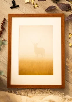 Ram Hermes Bok 30x40 cm - Passepartout Vit 8x12 inches