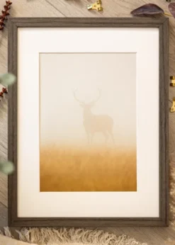 Ram Hermes Grey Oak 70x90 cm