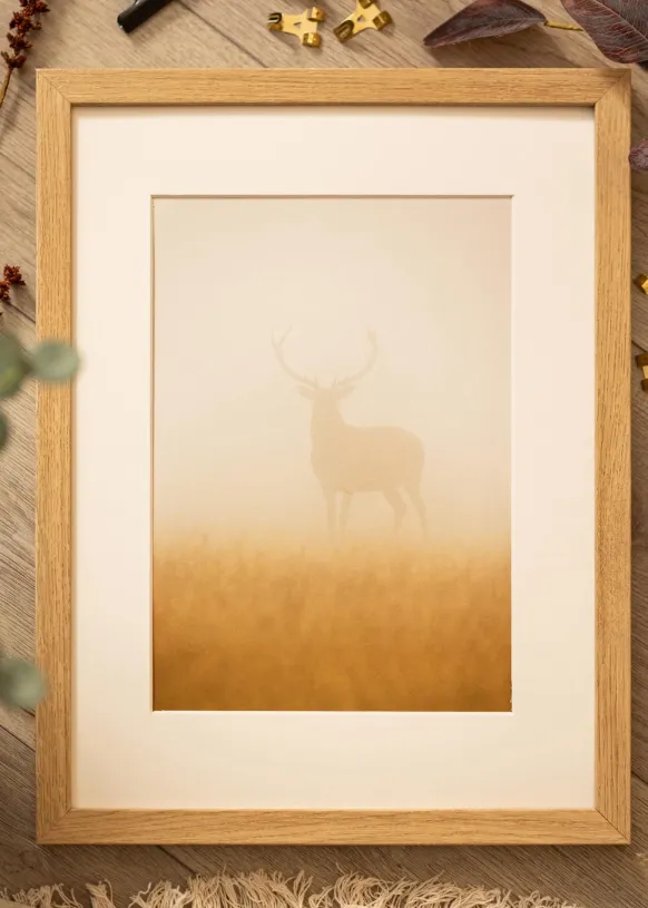 Ram Hermes Naturlig Ek 60x80 cm - Passepartout Vit 50x65 cm