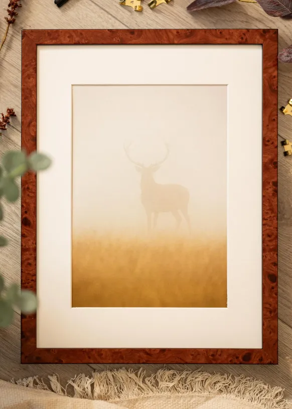 Ram Hermes Valnöt 40x40 cm - Passepartout Vit 32x32 cm