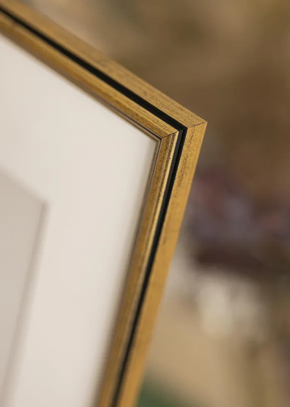 Ram Horndal Guld 25x50 cm
