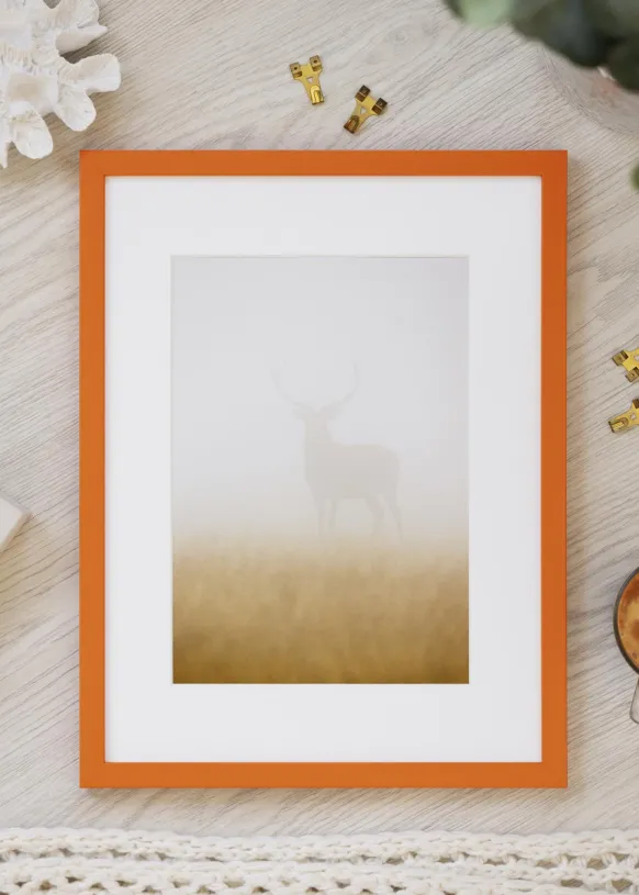 Ram Kent Orange 59,4x84,1 cm (A1)