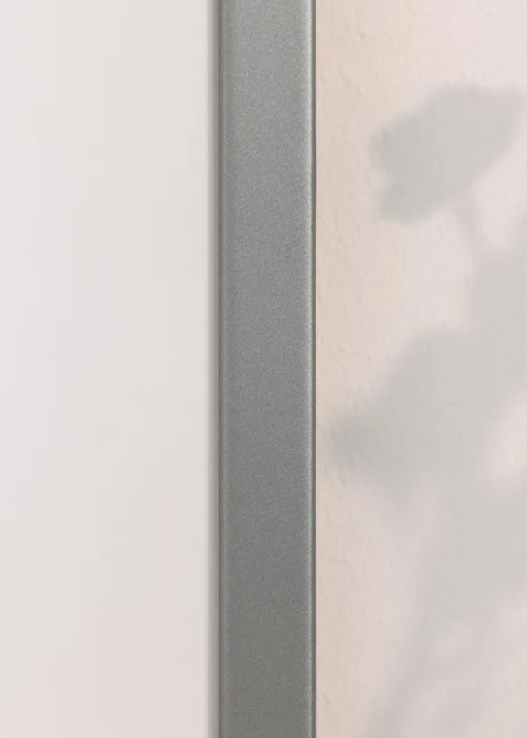 Ram Lofsdalen Silver 50x70 cm