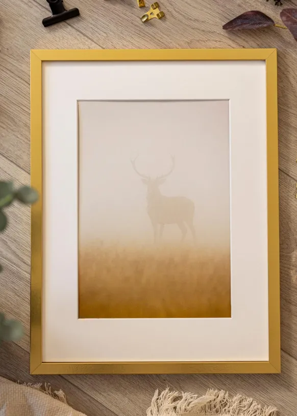 Ram Minerva Guld 40x50 cm - Passepartout Vit 28x35 cm