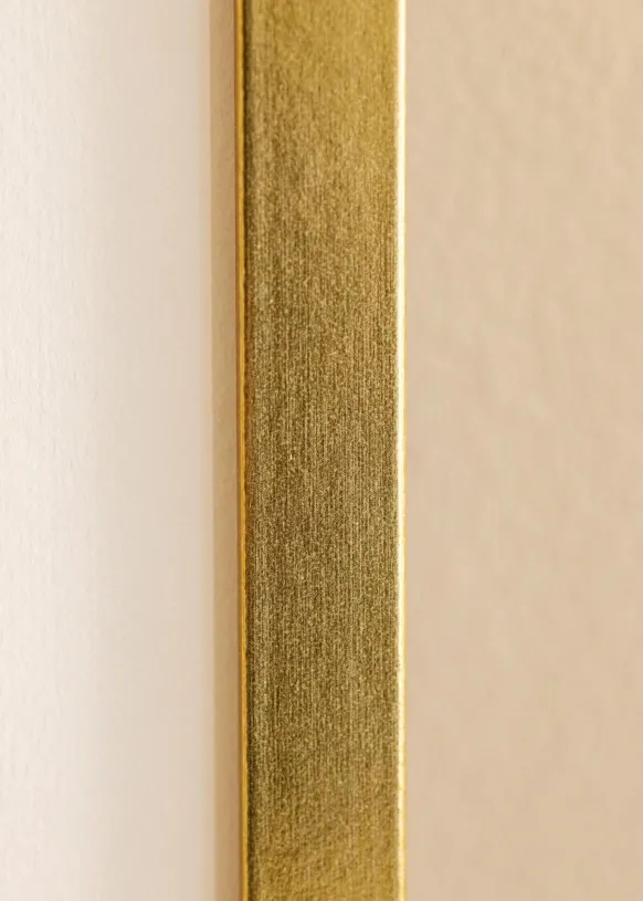 Ram Minerva Guld 40x50 cm - Passepartout Vit 30x41 cm