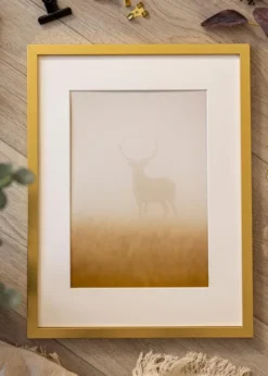 Ram Minerva Guld 40x50 cm - Passepartout Vit 30x41 cm