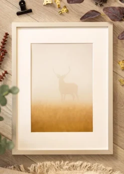 Ram Minerva Silver 40x50 cm - Passepartout Vit 30x38 cm