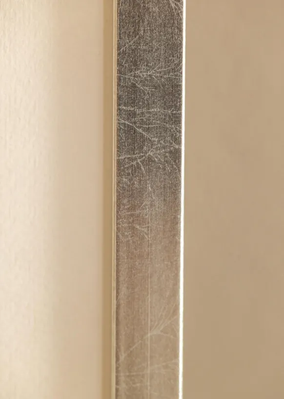 Ram Minerva Silver 40x50 cm - Passepartout Vit 30x41 cm