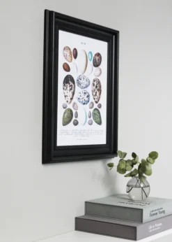 Ram Mora Premium Svart 50x70 cm