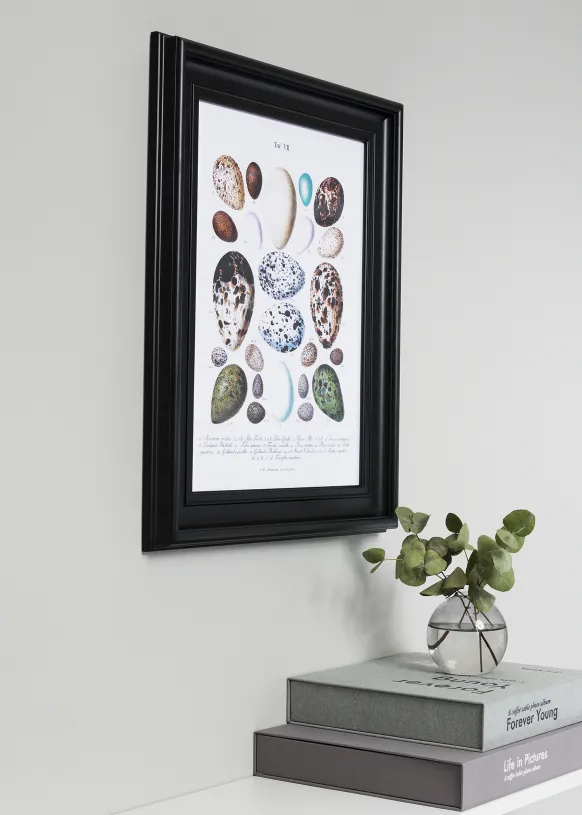 Ram Mora Premium Svart 50x70 cm