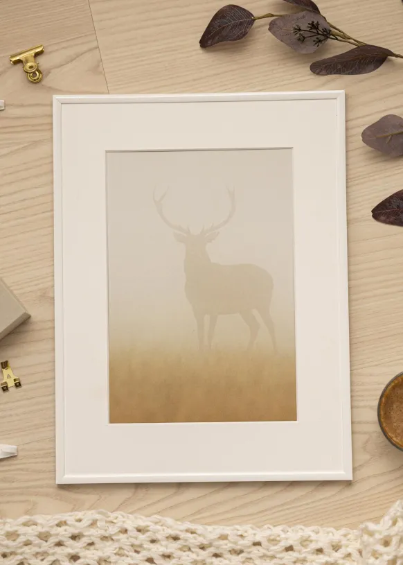 Ram New Lifestyle Glas Vit 20x30 cm