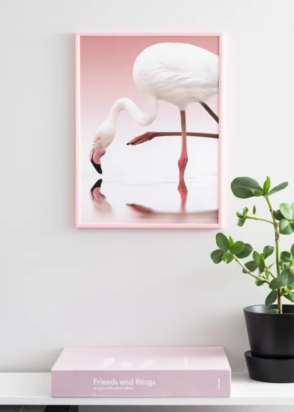 Ram New Lifestyle Rosa 50x70 cm