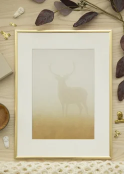 Ram New Lifestyle Shiny Gold 40x50 cm - Passepartout Vit 30x40 cm