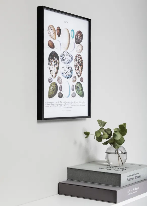 Ram Nielsen Premium Alpha Glas Blank Svart 70x100 cm