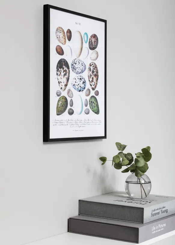 Ram Nielsen Premium Classic Glas Matt Svart 42x59,4 cm (A2)