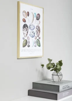 Ram Nielsen Premium Classic Glas Guld 70x100 cm