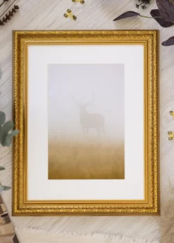 Ram Ornate Guld 21x29,7 cm (A4)