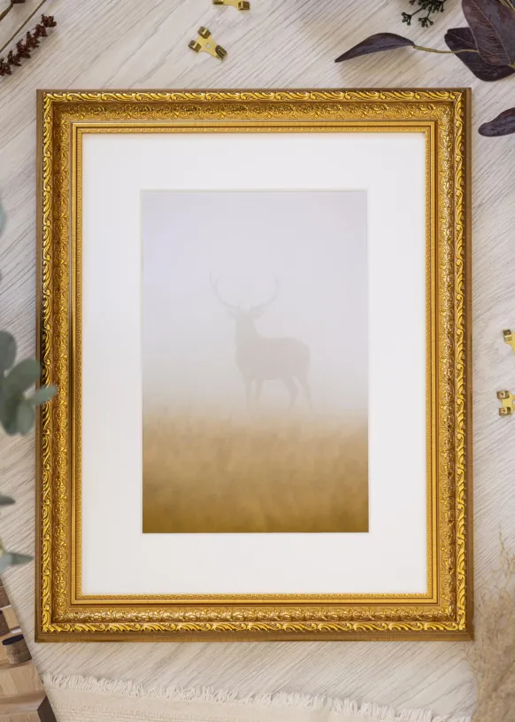 Ram Ornate Guld 40x50 cm - Passepartout Vit 30x40 cm
