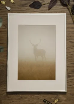 Ram Poster Frame Aluminum Glas Silver 21x29,7 cm (A4)