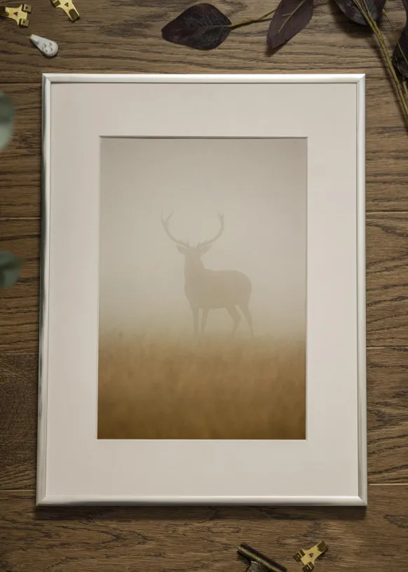 Ram Poster Frame Aluminum Glas Silver 21x29,7 cm (A4)