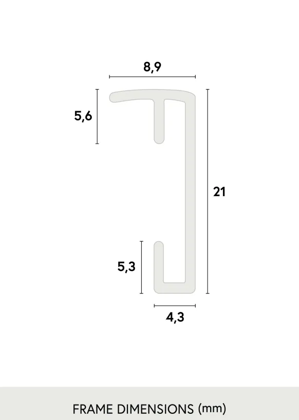 Ram Poster Frame Aluminum Glas Silver 21x29,7 cm (A4)