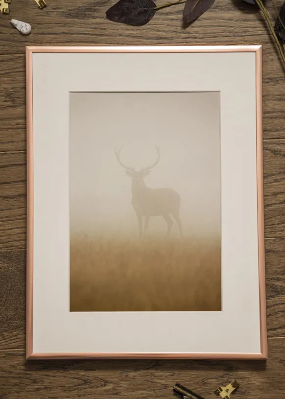 Ram Poster Frame Aluminum Glas Roséguld 15x20 cm