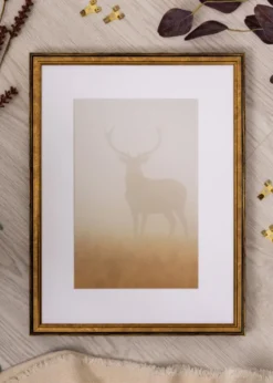 Ram Ringa Guld 70x100 cm