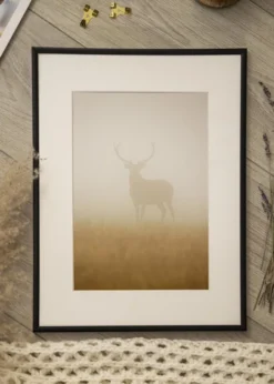 Ram Scandi Matt Svart 50x56 cm