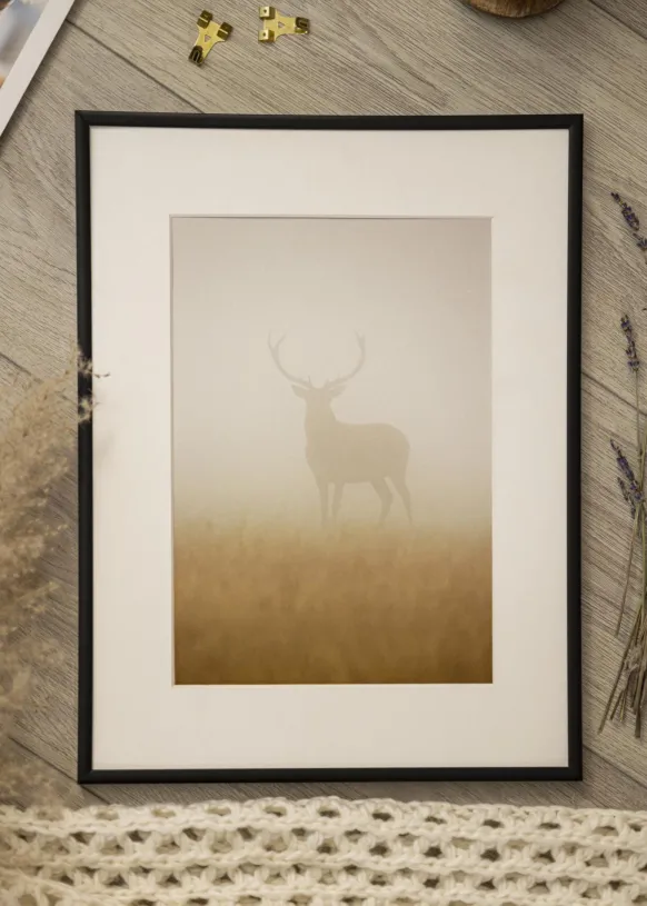 Ram Scandi Matt Svart 50x56 cm