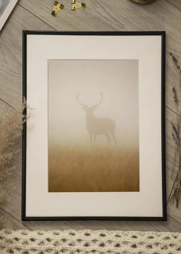 Ram Scandi Svart 50x60 cm - Passepartout Vit 37x46 cm