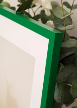 Ram Selection Light Green 50x70 cm