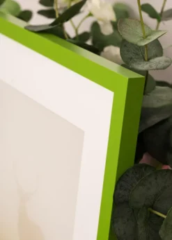 Ram Selection Lime Green 40x50 cm