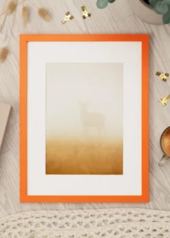 Ram Selection Orange 70x100 cm