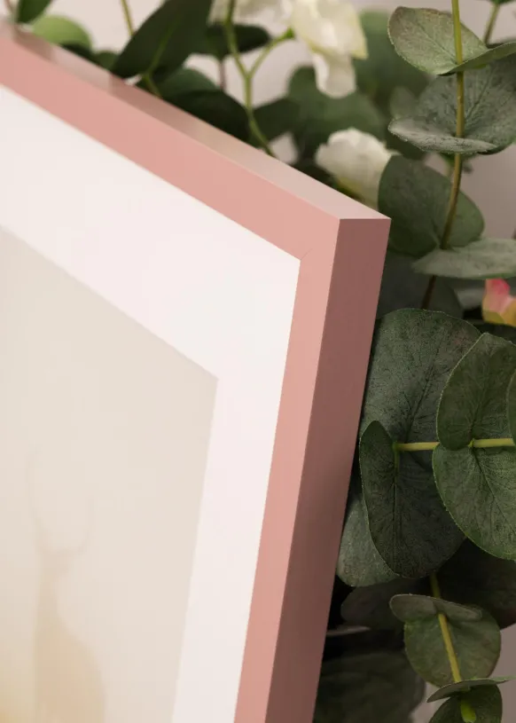 Ram Selection Peach 60x80 cm
