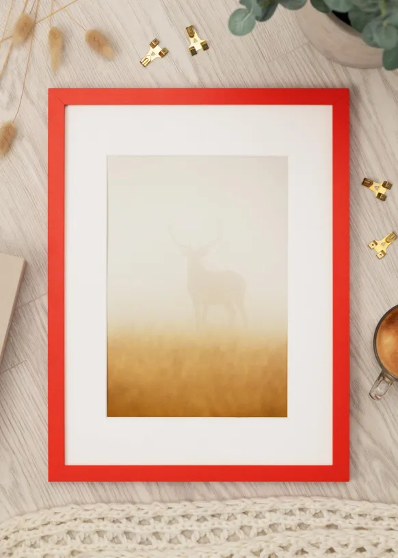 Ram Selection Red 42x59.4 cm (A2)