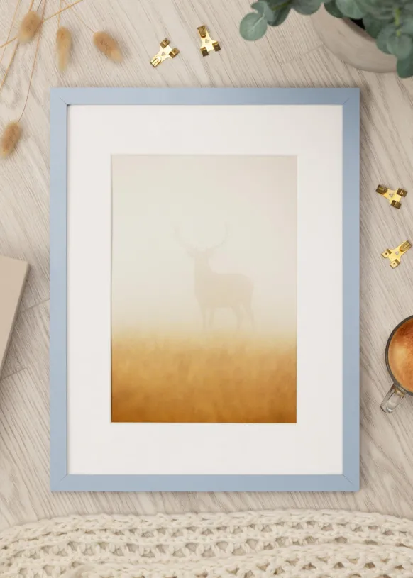 Ram Selection Sky Blue 50x50 cm