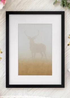 Ram Selection Svart 70x90 cm - Passepartout Vit 55x70 cm