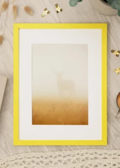 Ram Selection Yellow 40x40 cm