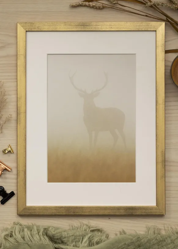 Ram Stilren Guld 60x60 cm - Passepartout Vit 45x45 cm
