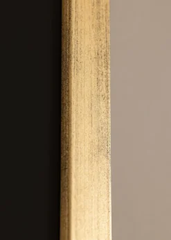 Ram Stilren Guld 30x40 cm - Passepartout Svart 21x29,7 cm (A4)
