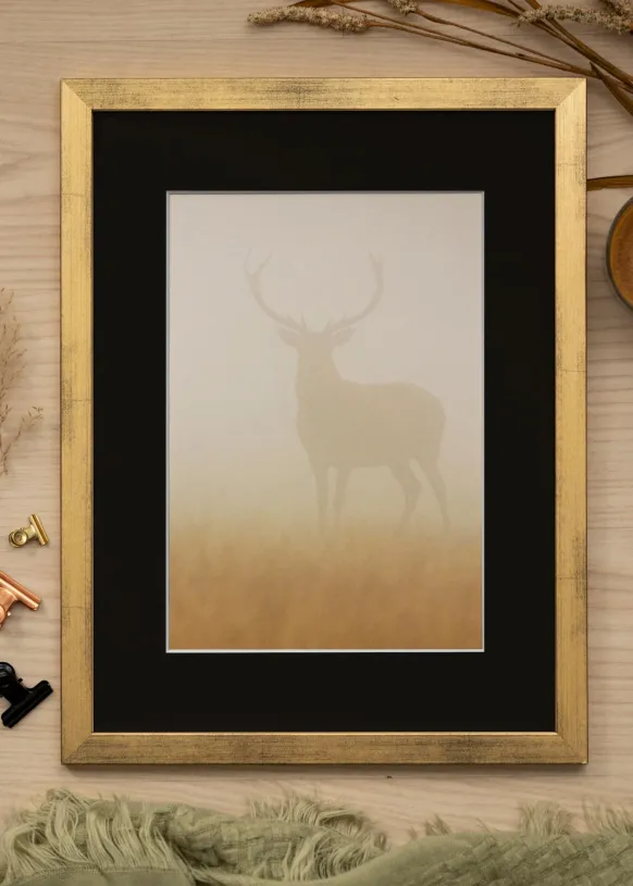Ram Stilren Guld 30x40 cm - Passepartout Svart 21x29,7 cm (A4)