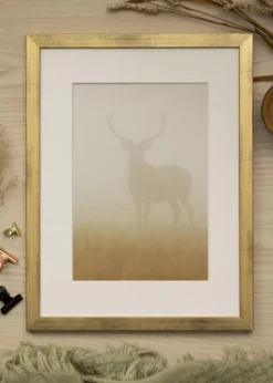 Ram Stilren Guld 15x20 cm - Passepartout Vit 11x15 cm