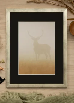 Ram Stilren Silver 50x60 cm - Passepartout Svart 16x20 inches