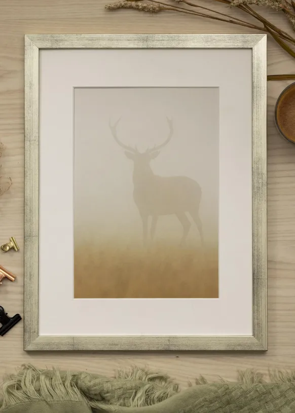 Ram Stilren Silver 50x70 cm - Passepartout Vit 42x59,4 cm (A2)