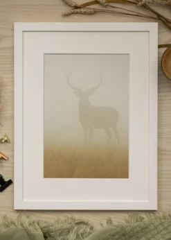 Ram Stilren Vit 60x60 cm